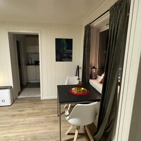 Liten Eldre Og Koselig Studiohybel